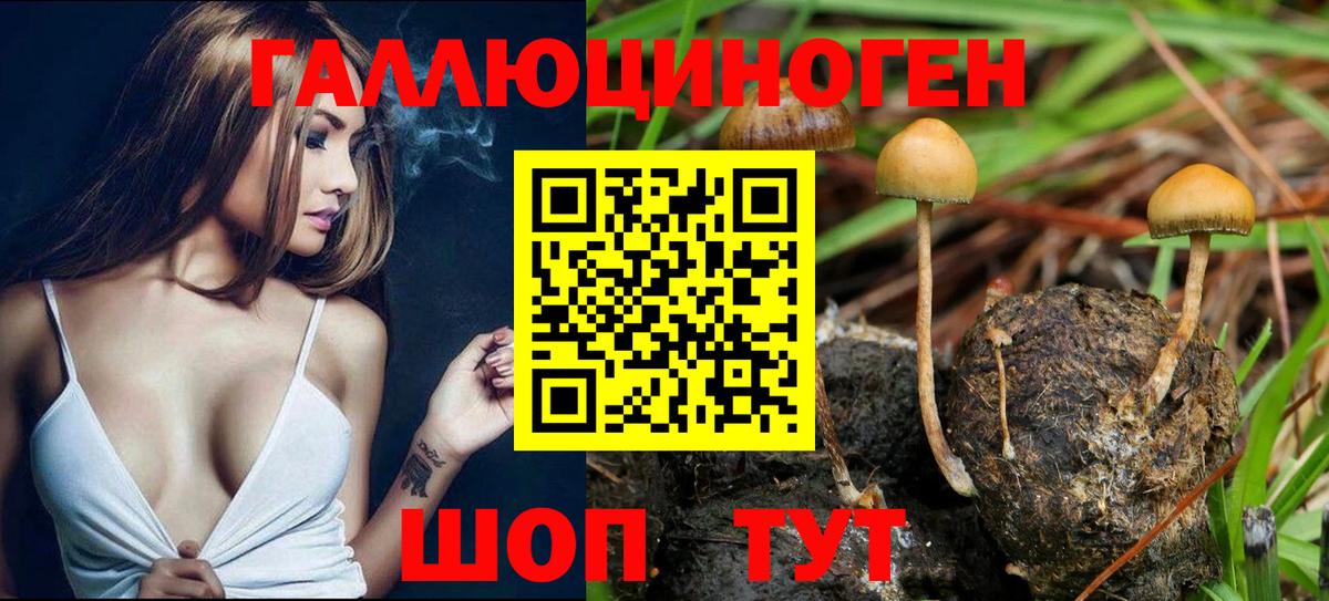 Галлюциногенные грибы GOLDEN TEACHER  Вход с VPN  Ревда 
