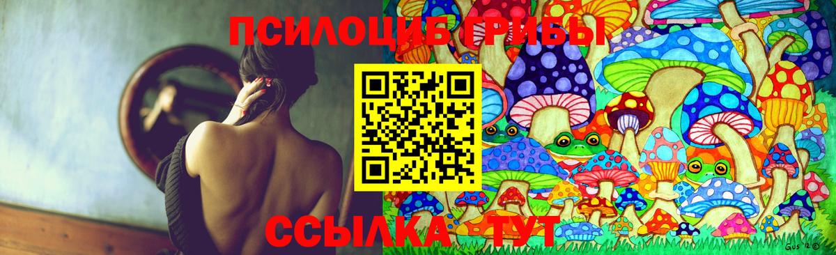 Псилоцибиновые грибы GOLDEN TEACHER Ревда